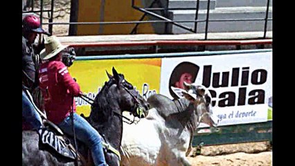 TORNEO DE COLEO CATEGORÍA ABIERTA