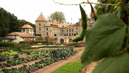 Château Prangins – ein Schloss mit langer Geschichte