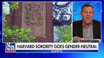 CNN News Gutfeld On Harvard Sorority Going Gender-Neutral