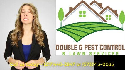 Termite Pest Control Palmyra Missouri