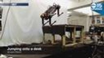 BLIND ROBOT? New galloping robot can climb without being able to 