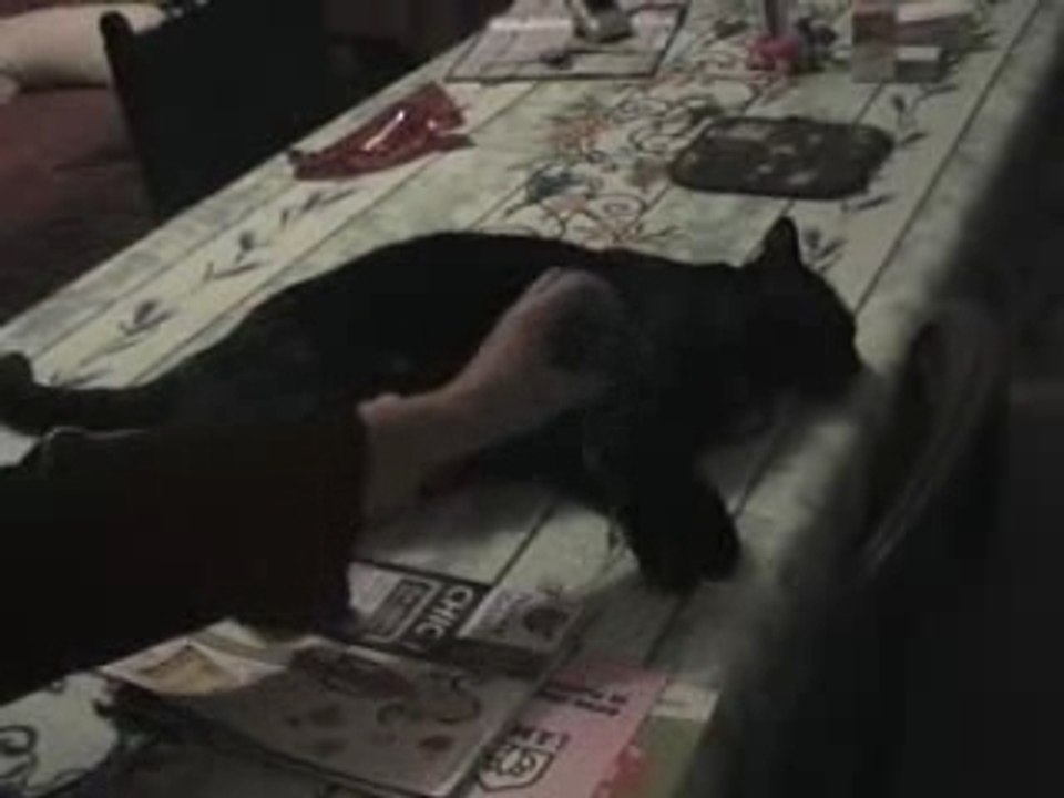 Une souris verte