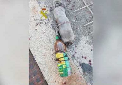 Hundreds of Migrants Force Entry Into Spanish Enclave in North Africa