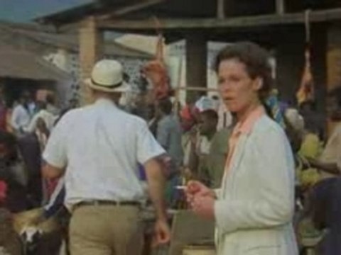 Gorilles dans la brume - 1