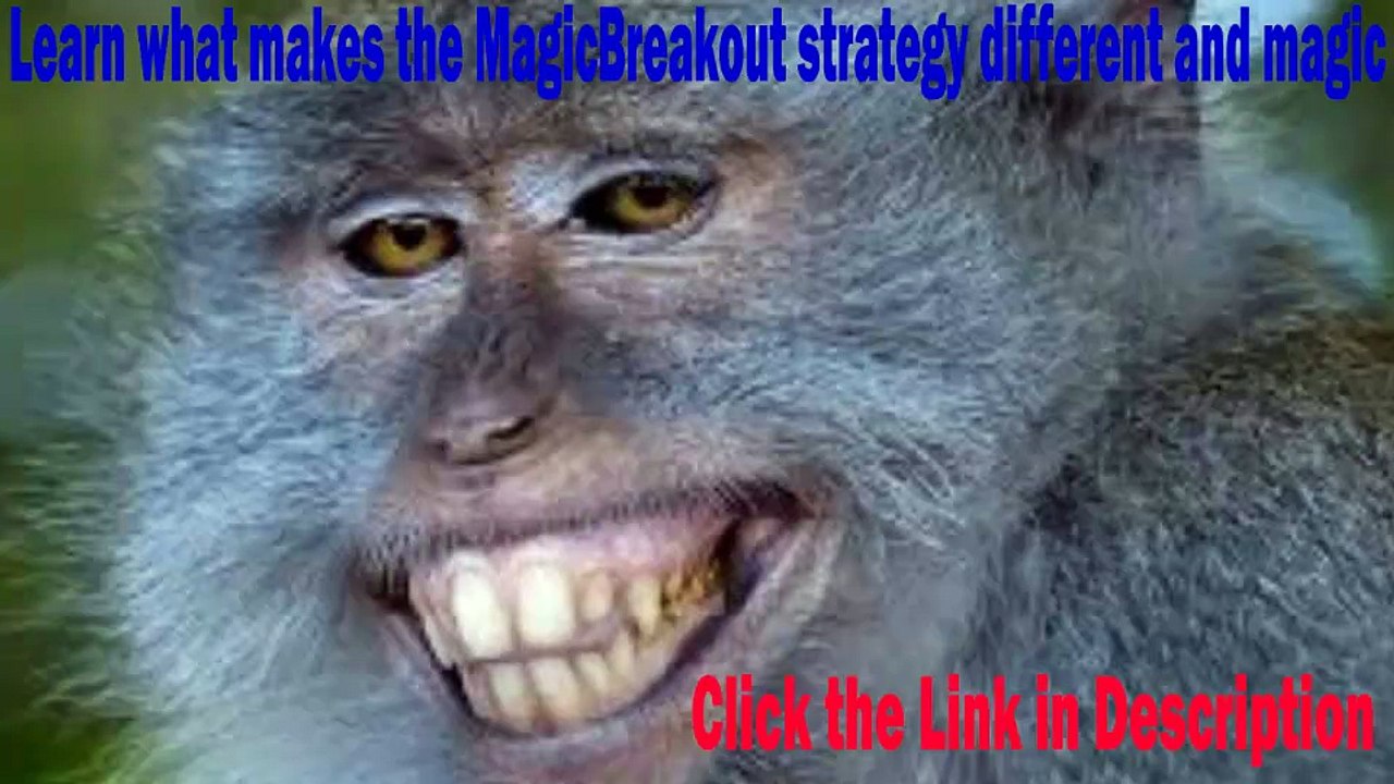 Why MagicBreakout?