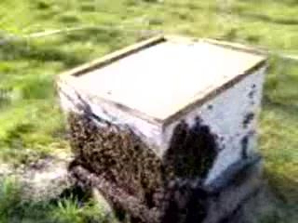 MOV00002