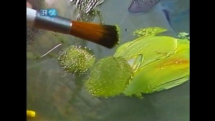 The Joy of Painting S23 02 Forest Edge  (2)