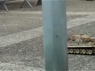 Char tigre 1 tamiya 1 16em