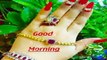 Good Morning Message  Whatsaap Video Message  , Wallpaper , Greeting , Quotes , E-cards