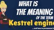 What is KESTREL ENGINE? What does KESTREL ENGINE mean? KESTREL ENGINE meaning & explanation