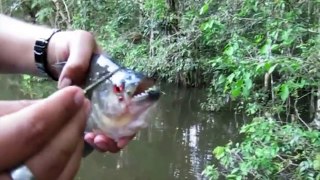 Top 10 SCARY Fishing Videos Caught On Camera