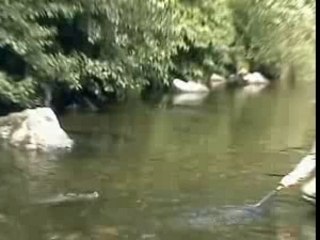 peche Mouche dans les vosges