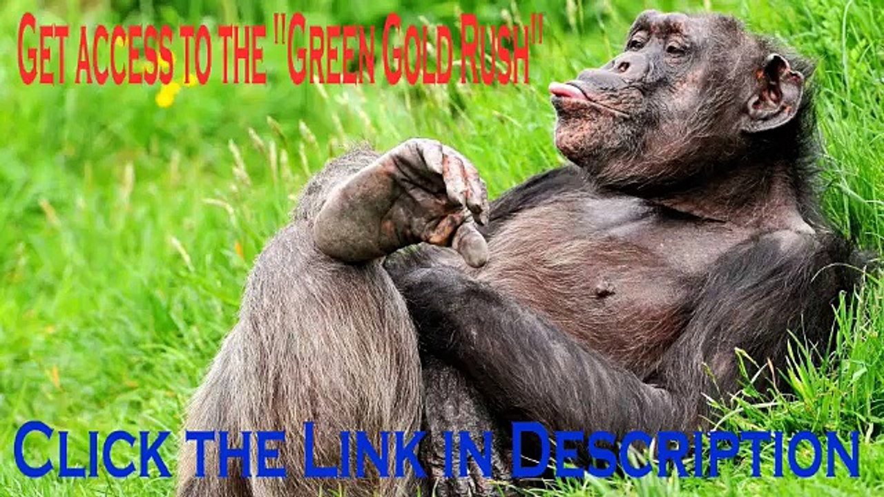 Trade Microcap Stocks With REAL Potential (not pump and dumps) To Quickly Grow A Small Account!