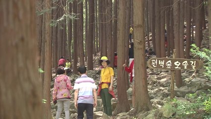 물놀이에 산림욕까지...더위 날리는 데 안성맞춤 / YTN