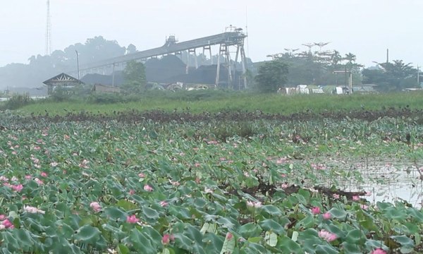 Menyapa Santri Kampung Bunyut di Kalimantan Barat