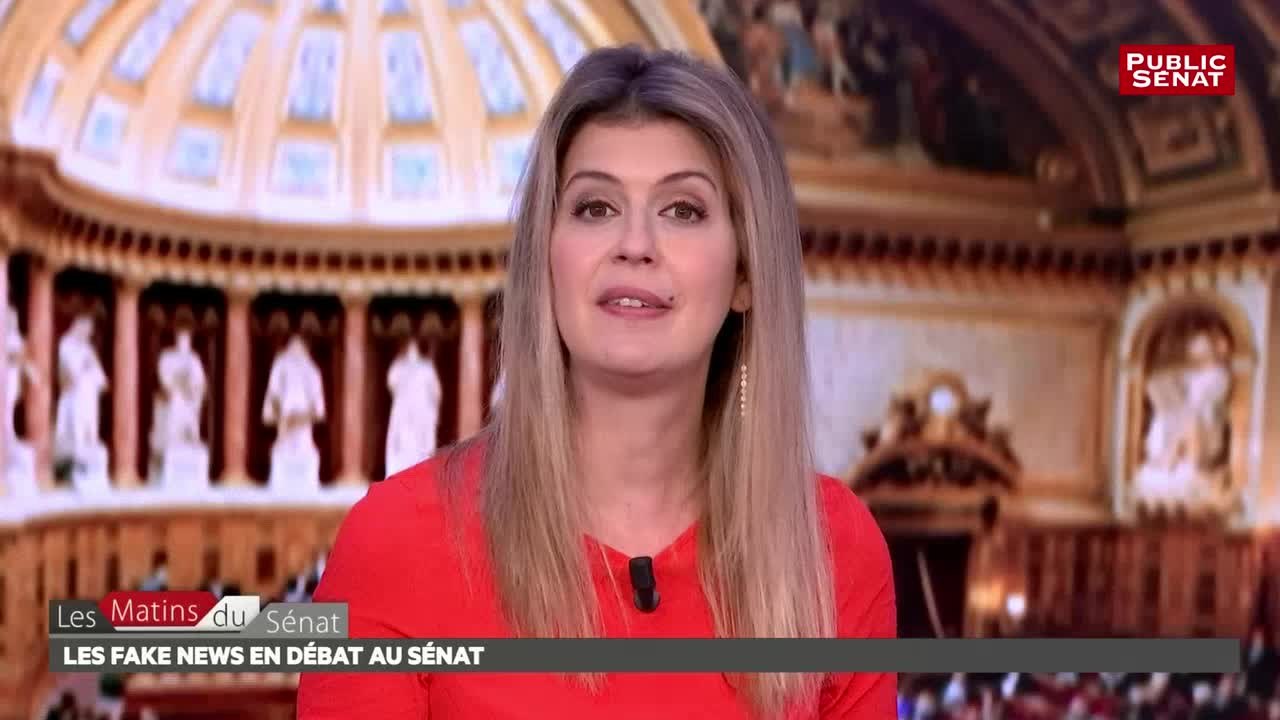 Tables rondes Fake News - Les matins du Sénat (27/07/2018)