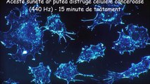 Aceste sunete ar putea distruge celulele canceroase (440 Hz) - 15 minute de tratament