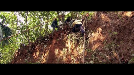National Geographic - Secrets of the King Cobra 2009
