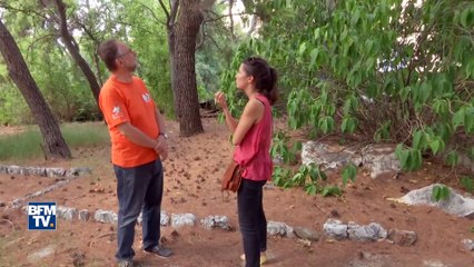 "On a fait tout ce qu’on a pu." Un habitant de Mati en Grèce témoigne de l’arrivée des flammes