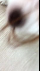 카지노사이트 只 TIE422.COM 只