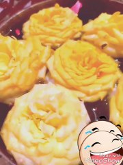 Yellow rose smiling flower