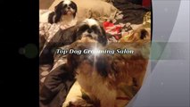 Top Dog Grooming Salon - (620) 342-3647