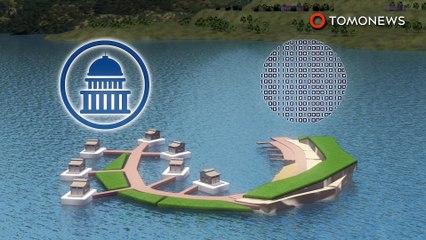 떠다니는 섬 프로젝트, 그들만의 정부, 그들만의 가상화폐도 가지고 있어