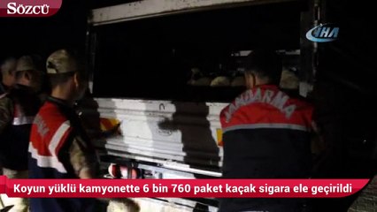 Koyun yüklü kamyonette 6 bin 760 paket kaçak sigara ele geçirildi