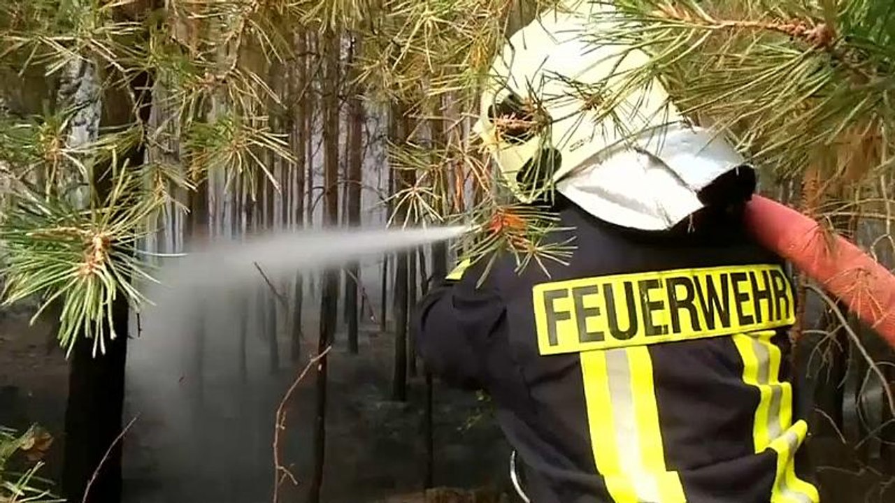 Brandenburg: Waldbrand unter Kontrolle