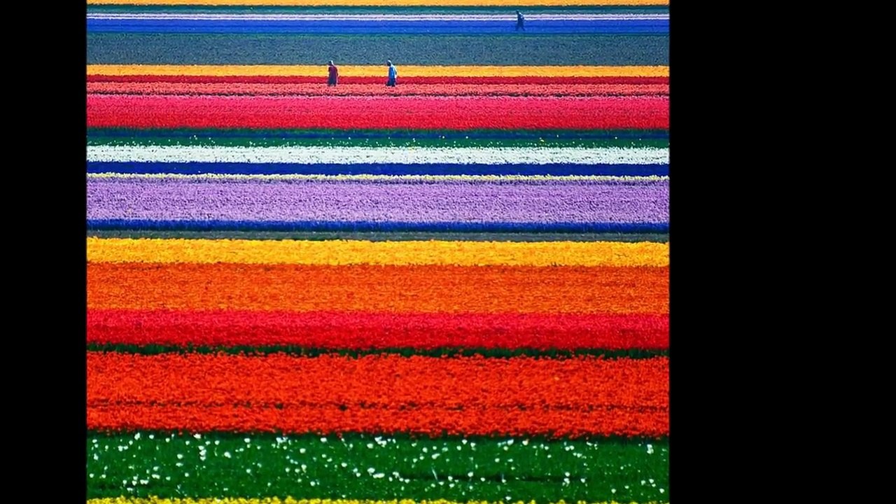 About Paul Ardaji, Paul Ardaji Producer, Know Paul Ardaji