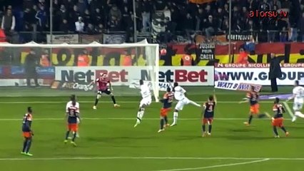 Montpellier HSC - AC Ajaccio (2-0) Résumé J26 [2013-2014]
