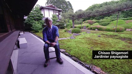 Le petit monde des mousses qui passionne des Japonais