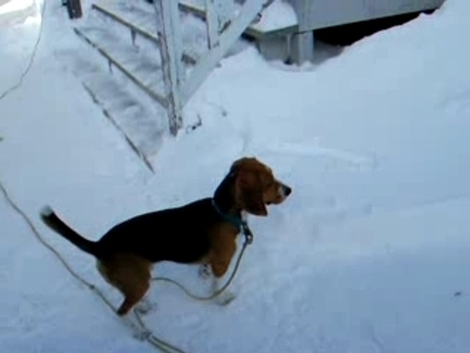 Billy et la neige !
