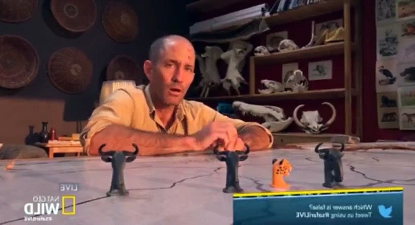 Safari Live Migration S01  E03 Friday, July 21 - Part 03