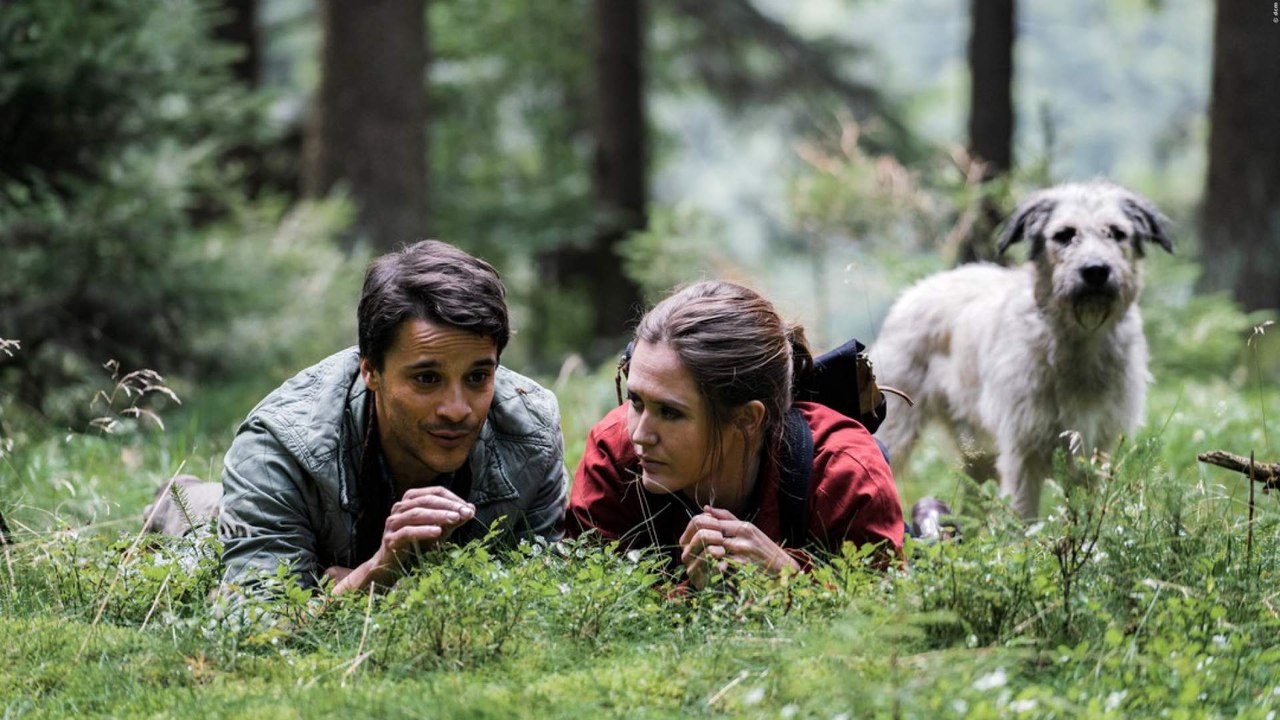 Wuff trailer german deutsch (2018) hd