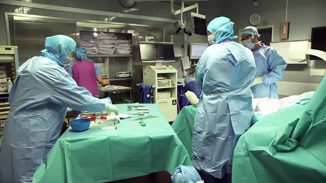 Des greffes osseuses innovantes