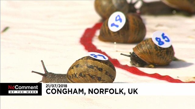 No Comment: лучшее за неделю