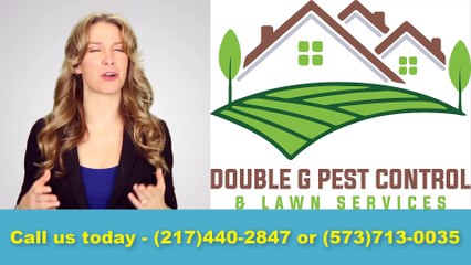 Spider Exterminator Palmyra Missouri