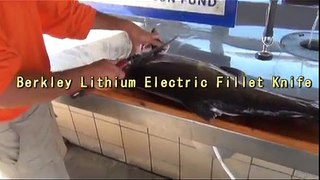 How to fillet a Salmon