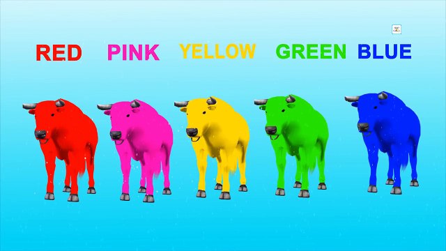 Bull Colorful Color Finger Family Song for Kids | Bull Cartoon Finger Family Rhymes