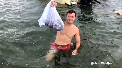 Scallop population on the rebound in Pasco County, Florida