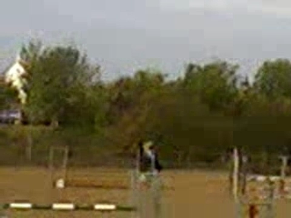 Hippique cce dompier