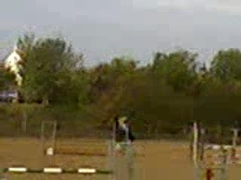 Hippique cce dompier