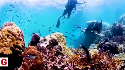 Suud'dan beklendik hareket! İsrail'e toprak verdiler