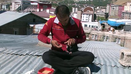 Amatör futbolcunun güvercin tutkusu - HAKKARİ