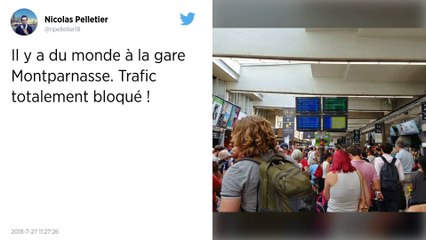 Départ en vacances: Gare Montparnasse.