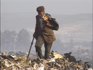 Les petites ombres d'Alger