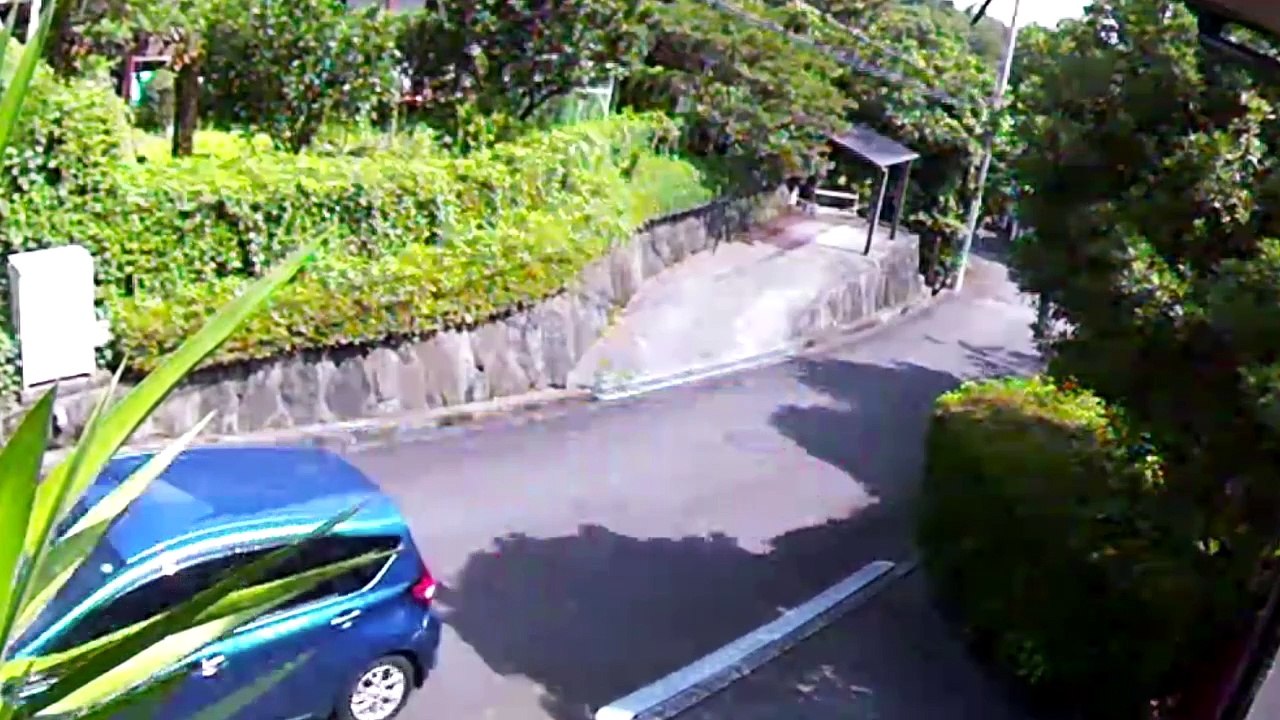 EDR July #27 2018 Unfamiliar Cars