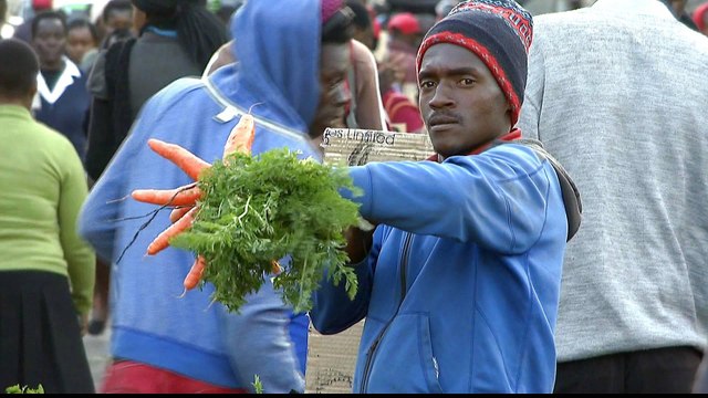 Mugabe's economic legacy overshadows Zimbabwe's election