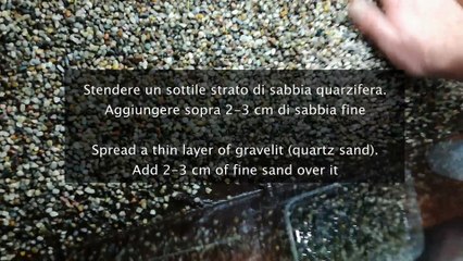 Elnatural 1 Walstad method setup tutorial step by step